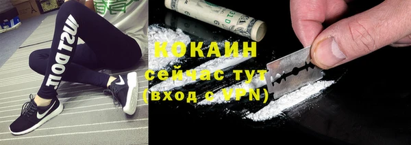 тгк Костерёво