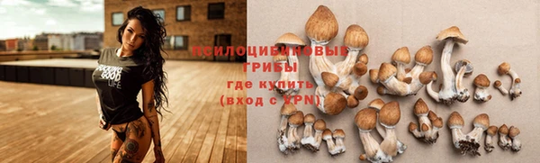 apvp Корсаков
