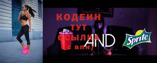 трава Коряжма