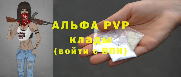 трава Коряжма