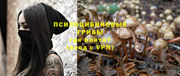 молекула духа Иноземцево