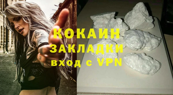 трава Коряжма