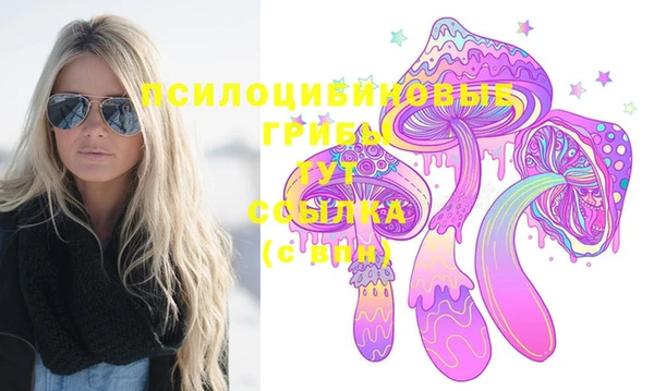 трава Коряжма