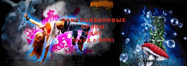 тгк Костерёво