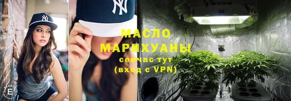 трава Коряжма