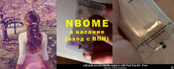 стаф Калининец