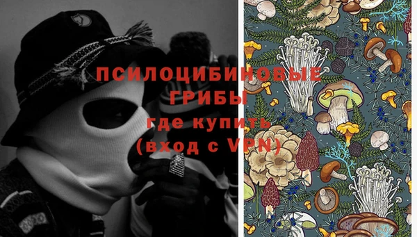apvp Корсаков