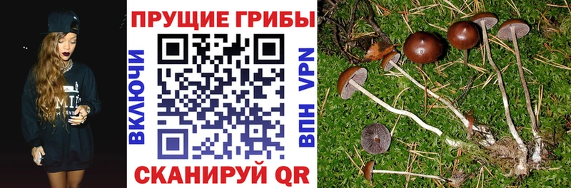 Галлюциногенные грибы мицелий  Самара 