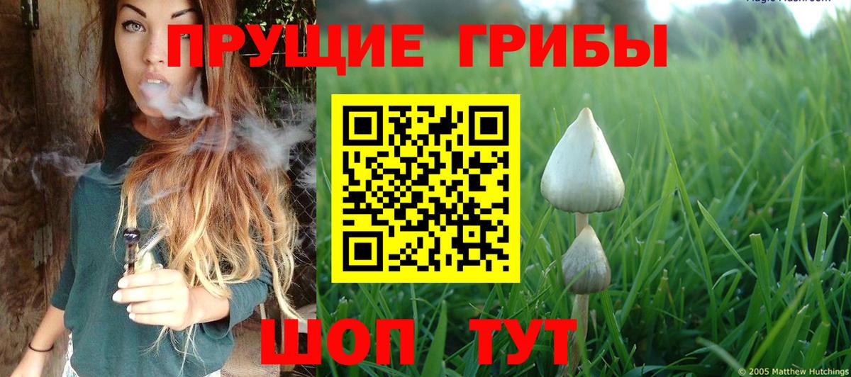 Псилоцибиновые грибы прущие грибы Самара